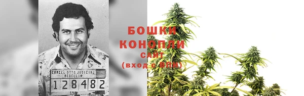 ГАЛЛЮЦИНОГЕННЫЕ ГРИБЫ Балахна
