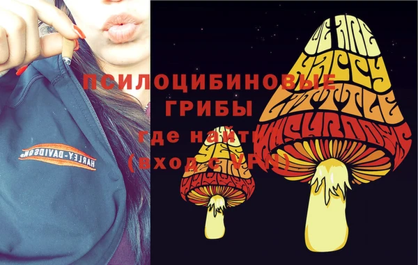 хмурый Балабаново