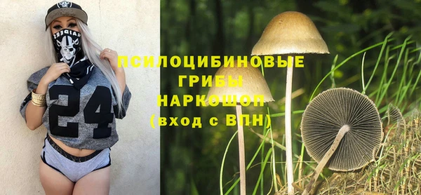 хмурый Балабаново